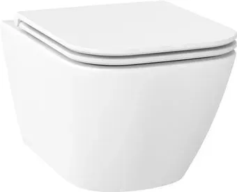 Wellsee Pure BY Wellsee RimFree 182603001 (чаша, пневмокрышка, матовый белый)
