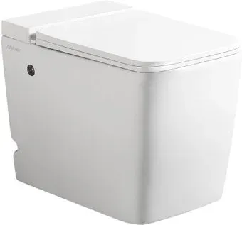 Abber Rechteck AC1212P (с импульсным смывом)