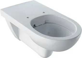 Geberit Selnova Comfort 500.262.01.1 (без сиденья)