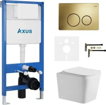 Axus 2303 с инсталляцией 011D и кнопкой 097IG