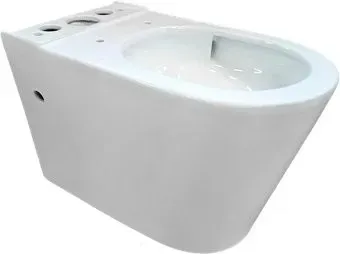 Saniteco KW-T005B-R (чаша)