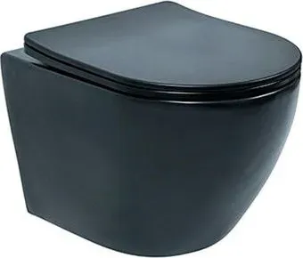 Deante Up Uno VSS01101PF с крышкой Slim Soft-Close (черный)