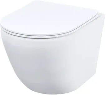 IDDIS Blanco Q BLQRDSEi2