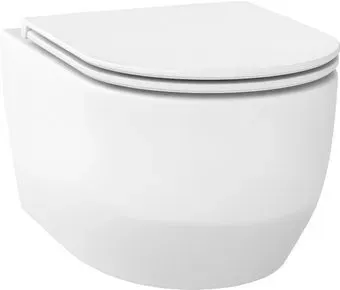 Wellsee Croquis RimFree 182612001 (чаша, пневмокрышка, матовый белый)