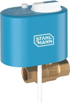 Stahlmann 3/4F 12В 2282756