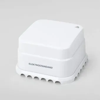 Elektrostandard протечки воды 76220/00