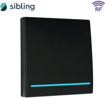 Sibling Powerlight-M1B 1-канальный