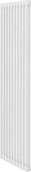 Royal Thermo Insignia C2180 - 10 секций RAL9016