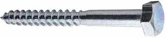 Starfix Шестигранный 10х160 DIN 571 SMV1-63831-5 (5кг, оцинкованный)