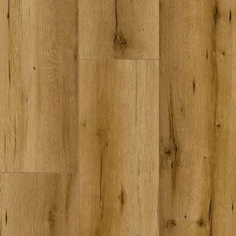 Arteo 8 XL 4V 53723 Kruger Oak