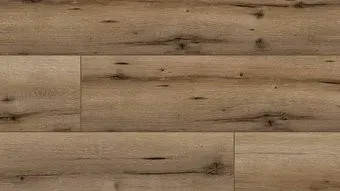 Arteo 8 XL 4V 53728 Дуб Калимнос