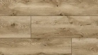 Arteo 10 XL WR 54842 Дуб Фьорленд