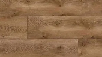 Arteo 10 XL 4V 53738 Дуб Серенгети