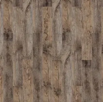 Timber Forester Дуб Альгеро