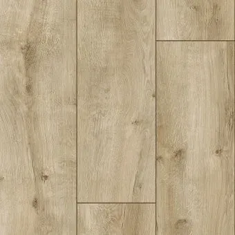 Arteo 8 XL 4V 49717 Дуб Пикус