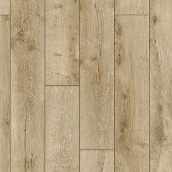 Arteo 8 S 4V 49764 Дуб Пикус