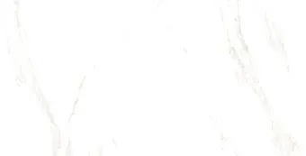 Foir Group Iceberg 600x1200 (полированная)
