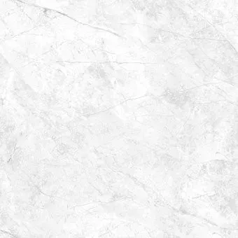 Foir Group Rayan 600x600 NP (полированный)