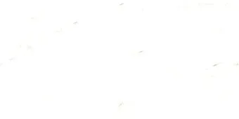 Foir Group Fonix 600x1200 (полированная)