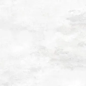 Foir Group Lion White 590x590 (полированная)