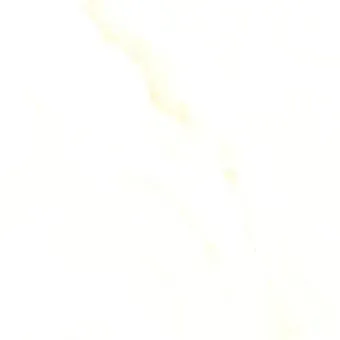 Foir Group Omega 600x600 NP (полированный)