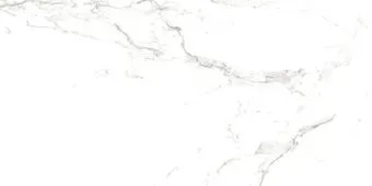 Foir Group Calacatta Gray 595x1190 (полированная)