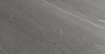 Pamesa Es.Erie Ash 450x900
