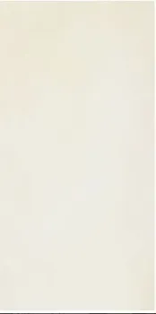 Pamesa Nicea Blanco 25x75