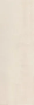 Pamesa Lead Blanco 250x750