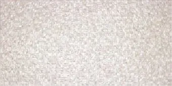 Pamesa Capua Multi Perla 250x500