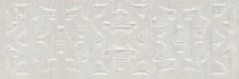 Vitra Deja Vu Damask Border Matt 100x300 (White)