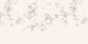 Citydecor Perfect Lines 68 (300x150см)