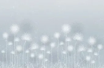 Citydecor Невесомость 42 (400x260см)