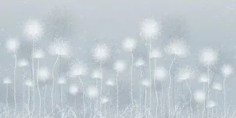 Citydecor Невесомость 42 (300x150см)