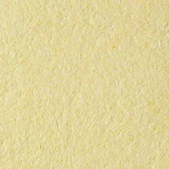 Silk Plaster Арт 260