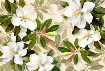Vimala Южные цветы 270x400