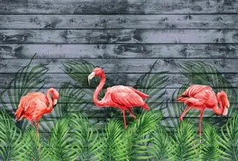 Vimala Фламинго акварель 270x400