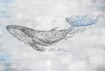 Vimala Созвездие кита 270x400