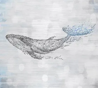 Vimala Созвездие кита 270x300
