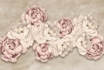 Vimala Пионика на штукатурке 270x400