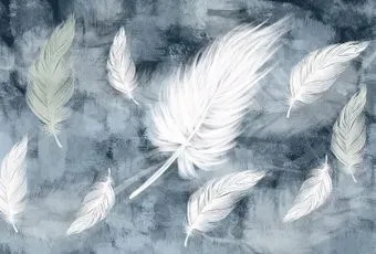 Vimala Перья на стене 270x400