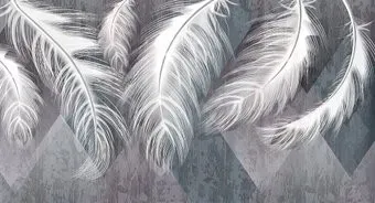 Vimala Перья геометрия 270x500