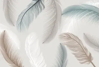 Vimala Нежные перья 270x400