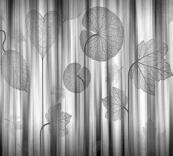 Vimala Мелоди 270x300