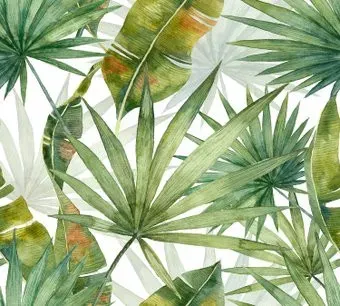 Vimala Листья акварель 270x300