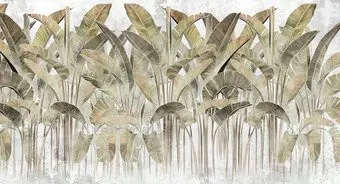 Vimala Кавендиш 2 270x500