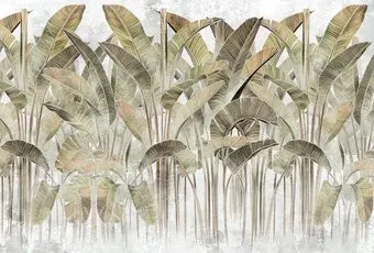Vimala Кавендиш 2 270x400