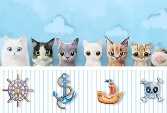 Vimala Детские коты 270x400