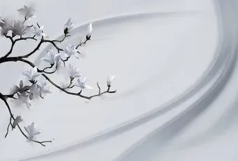 Vimala Ветка на шелке 270x400