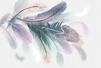 Vimala Векторные перья 270x400